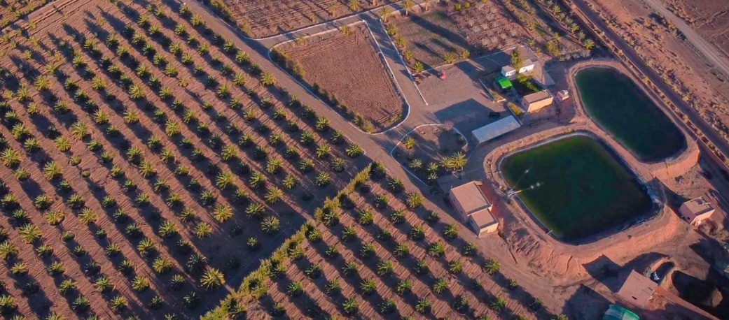 farm